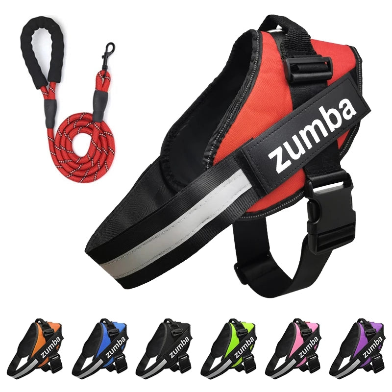 Set harnais et laisse assortie personnalisé pour chien, six coloris