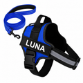 Set harnais et laisse assortie bleu, nom brodé LUNA, bandes réfléchissantes