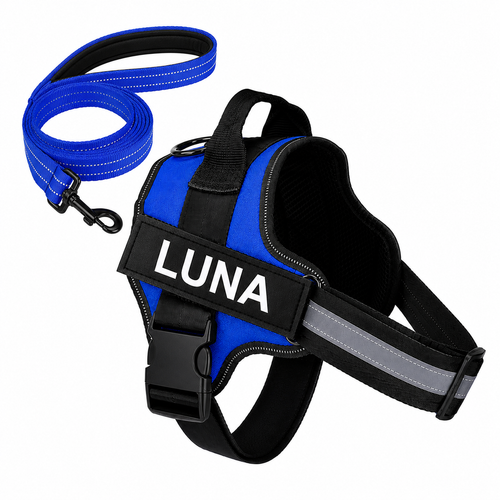 Set harnais et laisse assortie bleu, nom brodé LUNA, bandes réfléchissantes