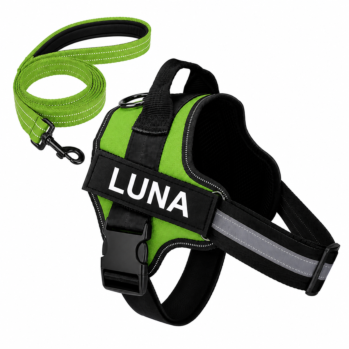 Set harnais et laisse assortie vert, nom brodé LUNA, bandes réfléchissantes