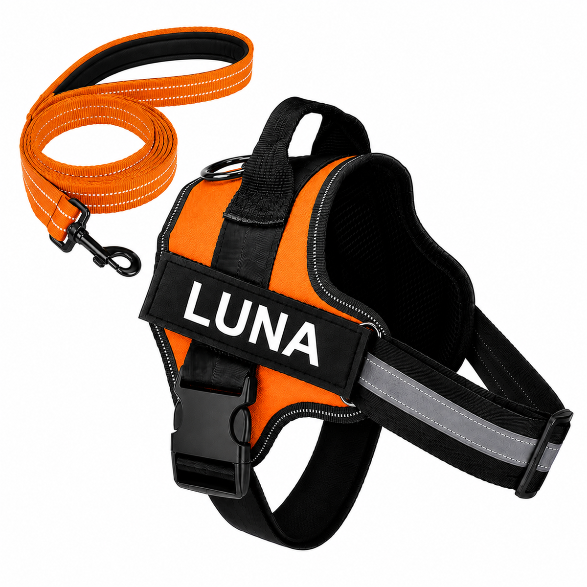 Set harnais et laisse assortie orange, nom brodé LUNA, bandes réfléchissantes