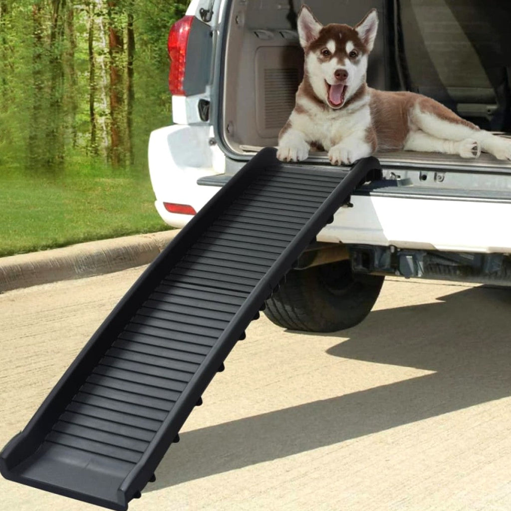 Hunderampe klappbar 155 cm — schmerzfrei ins Auto